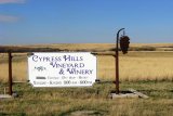 Small_Cypress-Hills-Winery