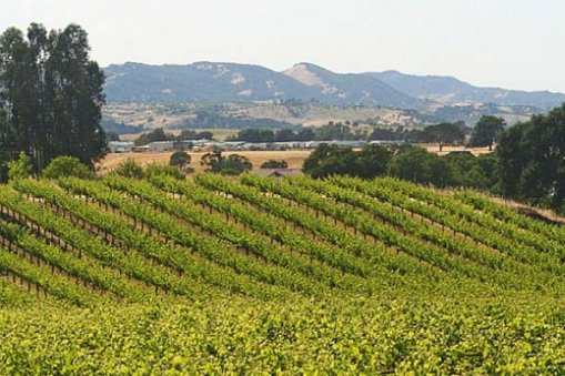 Large_california_winery