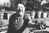 Сборщик винограда. Франция, 1964 год  Carlo Bavagnoli
